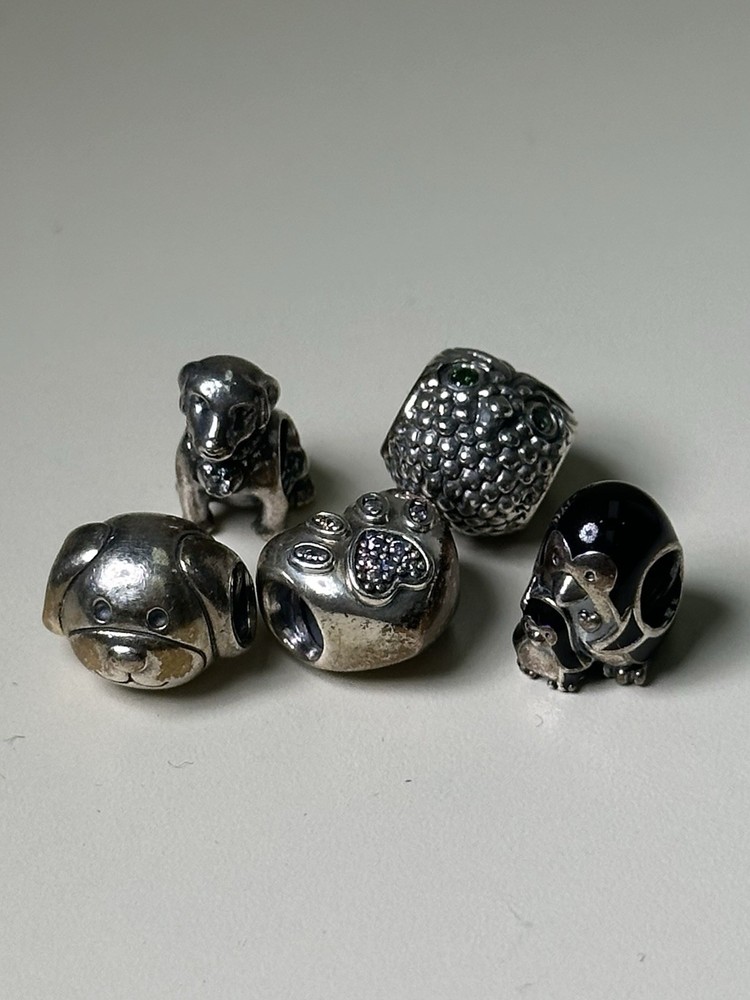 Lot Of 5 Pandora Ale S925 Sterling Silver Charms