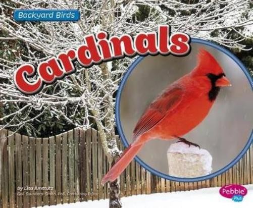 Lisa J Amstutz Cardinals (Hardback) Backyard BirdsAnother great item from Rarewaves USA | Free delivery!