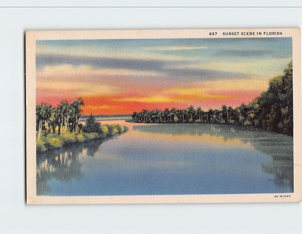 Postcard Sunset Scene in Florida USA