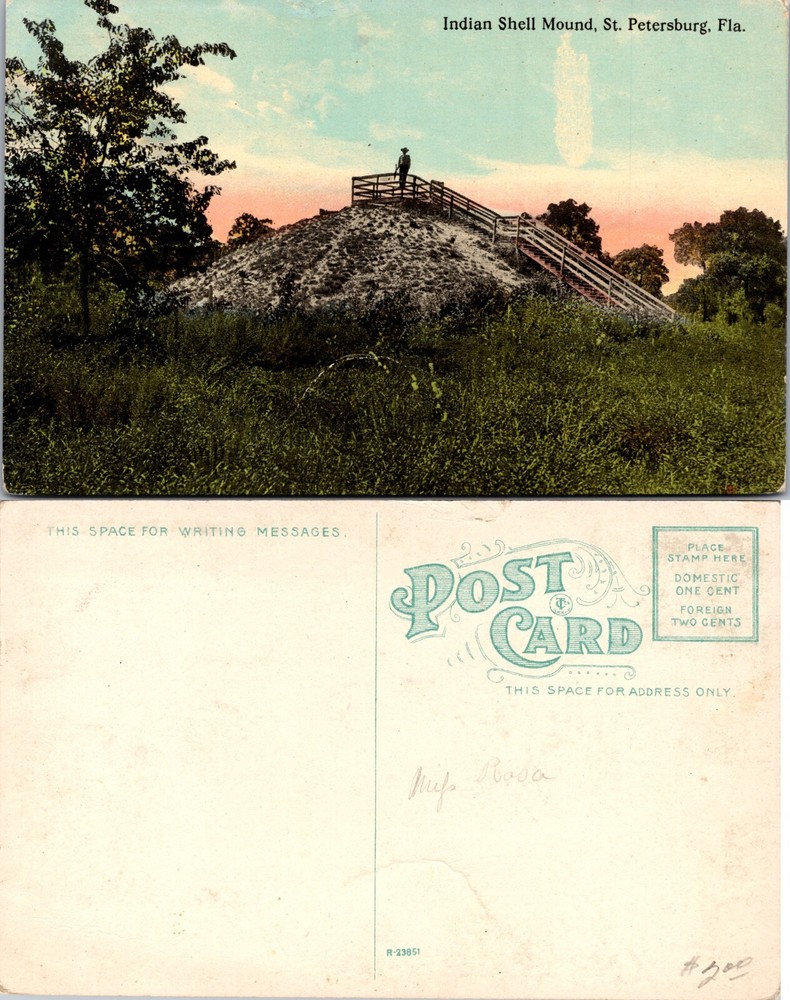Indian Shell Mound St Petersburg Florida FL Postcard