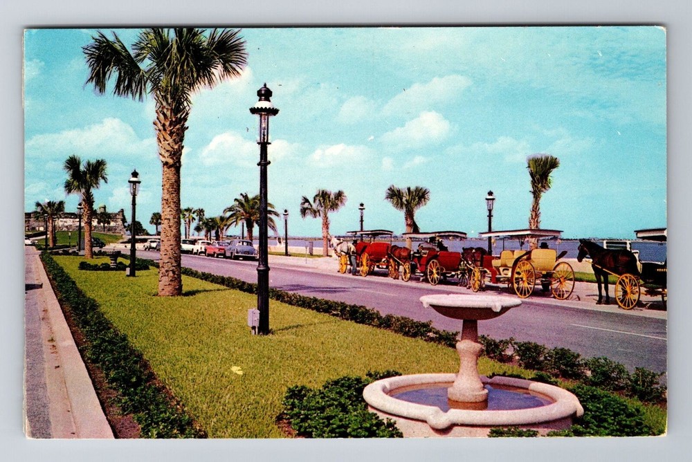 St Augustine FL-Florida, Sightseeing Carriages, Antique Vintage Postcard