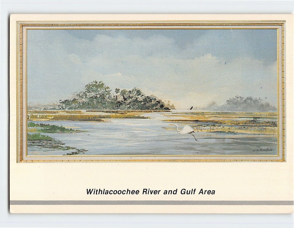 Postcard Withlacoochee River and Gulf Area Florida