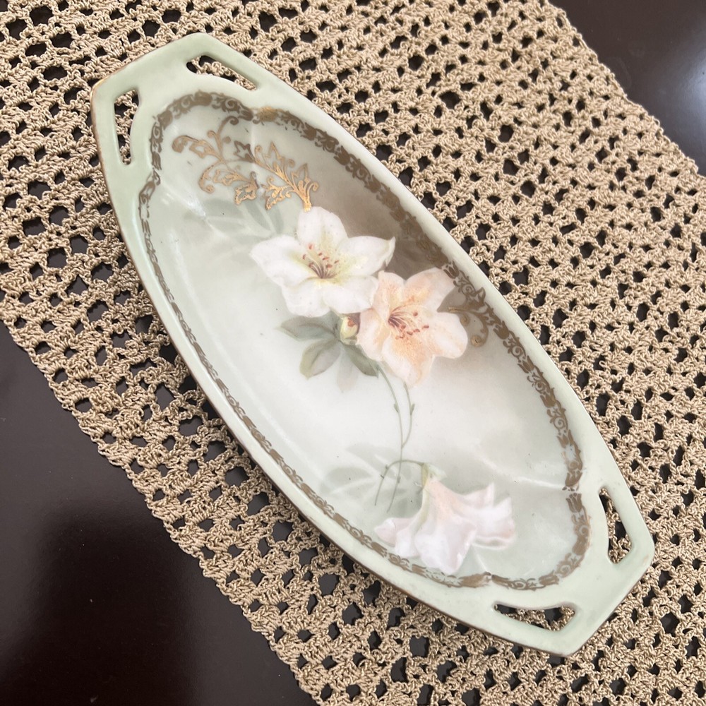Reinhold Schlegelmilch Tillowitz Hand Painted Oval Dish