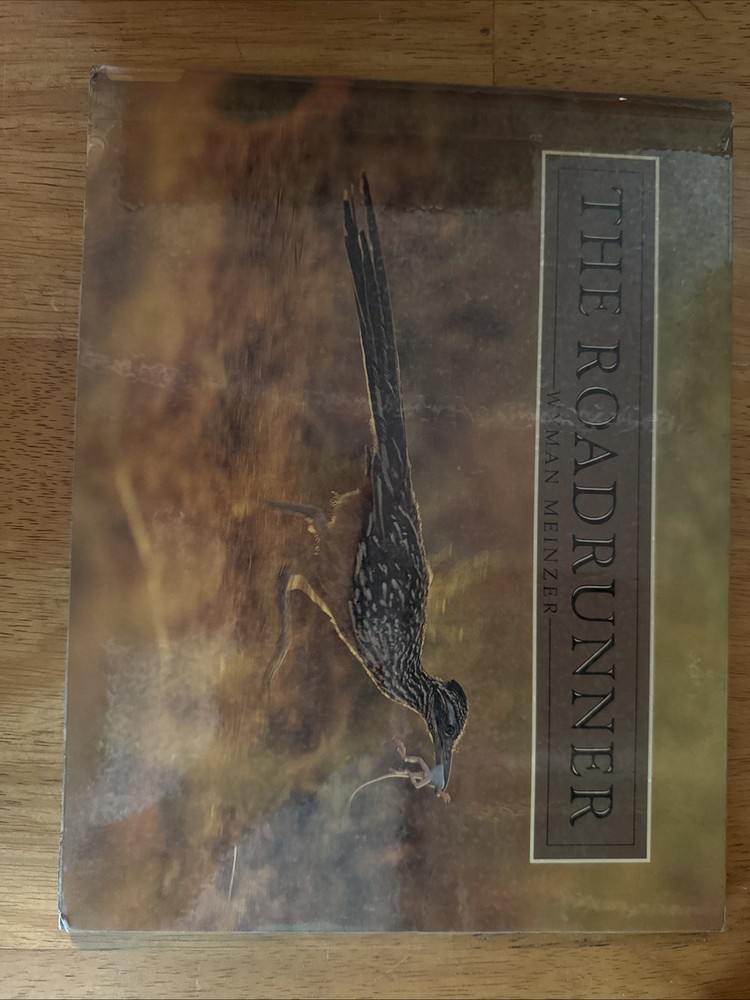 The Roadrunner by Wyman Meinzer