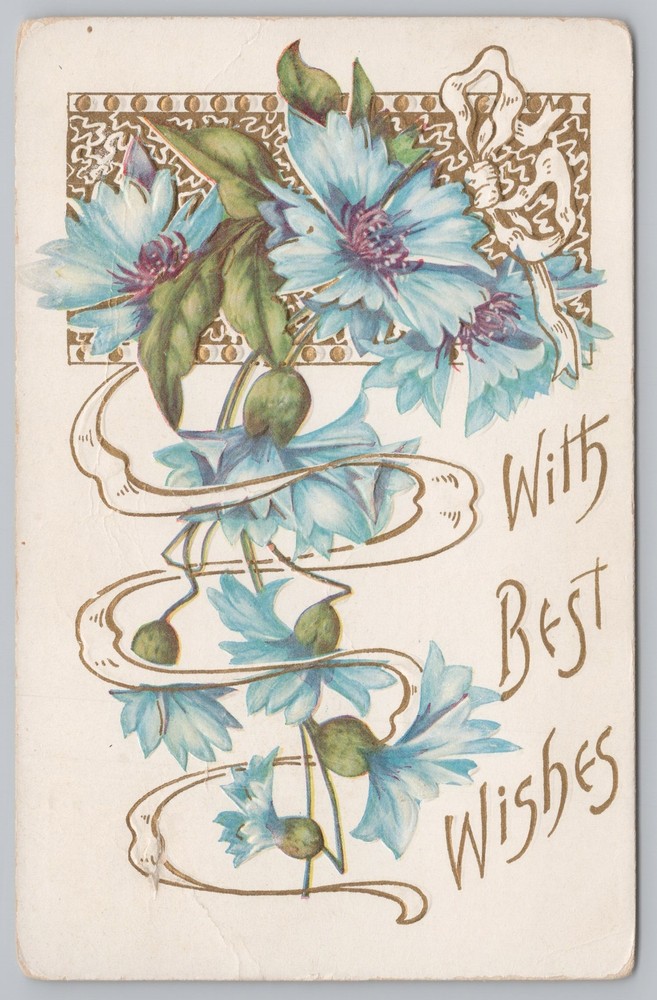 Greetings~Best Wishes~Corn Flowers~Vintage Postcard