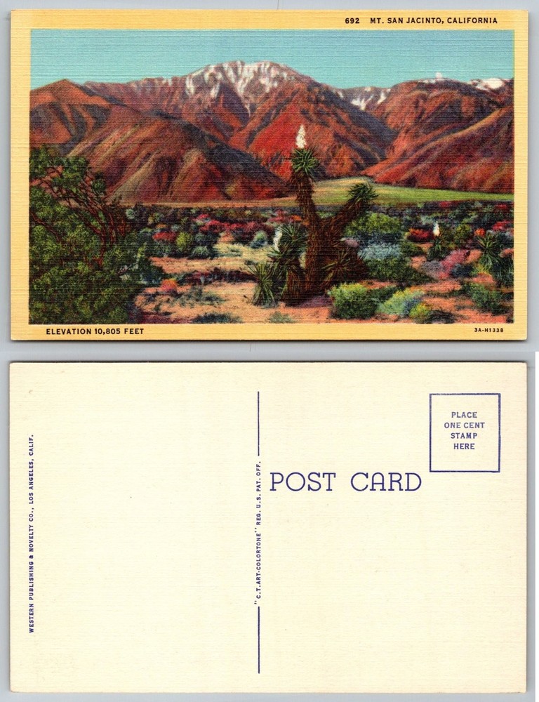 Mt. San Jacinto California Linen Postcard 1930s Desert Landscape Vintage