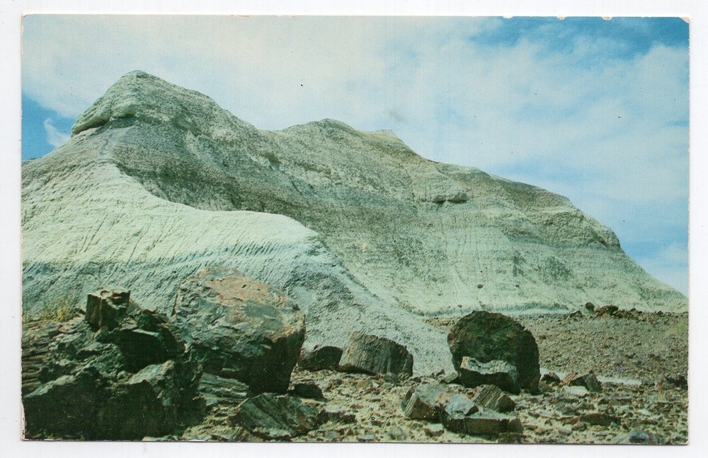 1970s? Chrome - CLOSEOUT - The Battleship, Petrified Forest N M - Arizona
