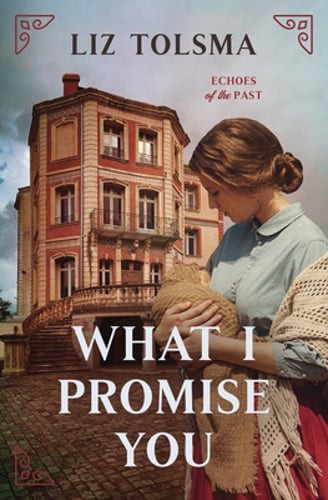 What I Promise You: Volume 2 by Liz Tolsma: Used