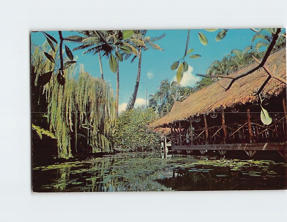Postcard The Willows Honolulu Hawaii USA