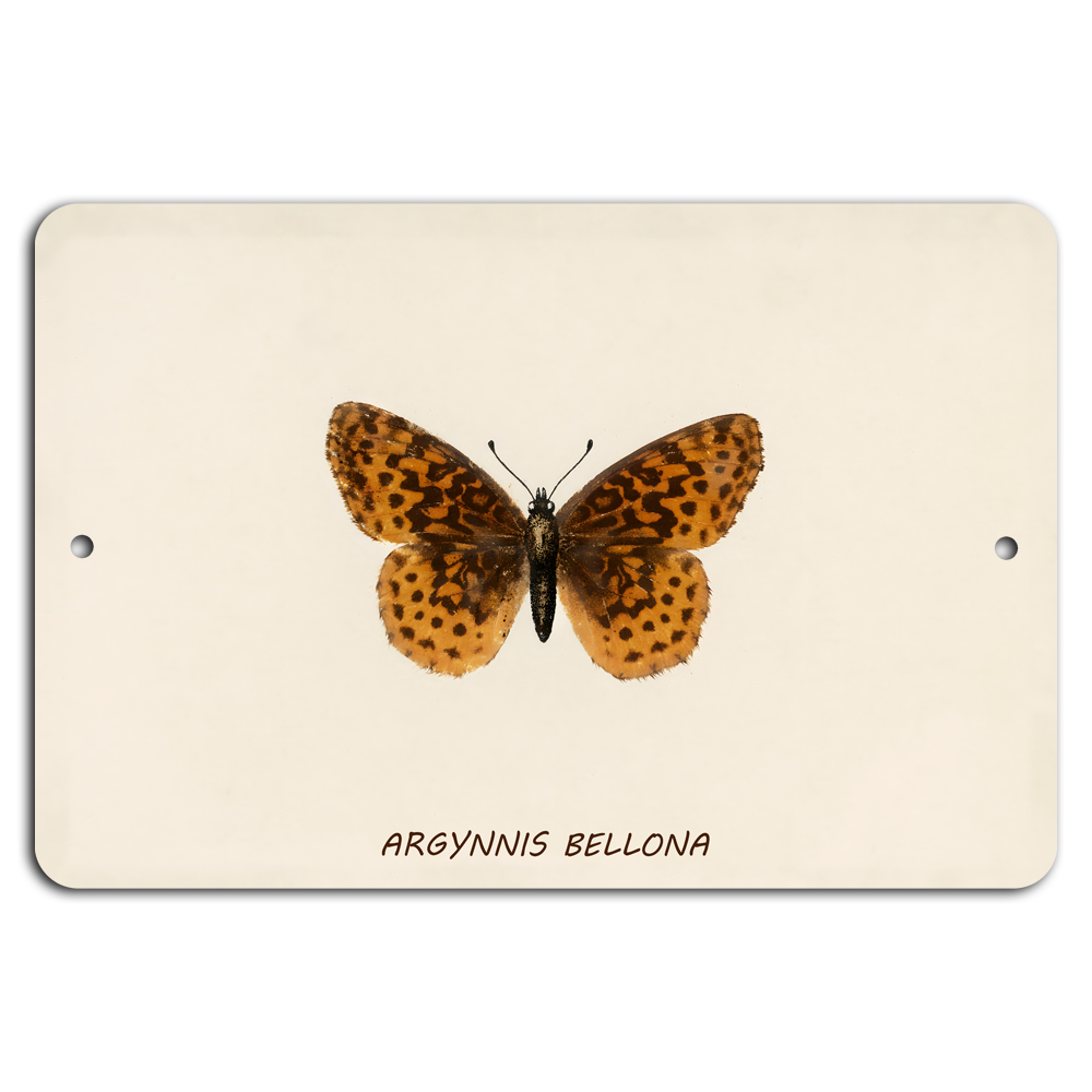 Discover Argynnis Bellona Metal Art Celebrating Nature’s Vibrant Beauty