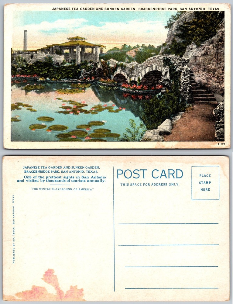 San Antonio Texas Japanese Tea Garden and Sunken Garden Postcard
