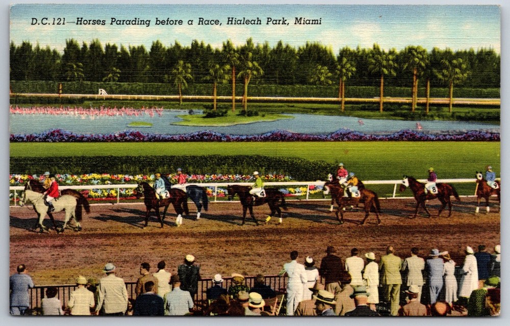 Miami Florida~Horses Parading Before A Race @ Hialeah Park~Vtg Linen Postcard