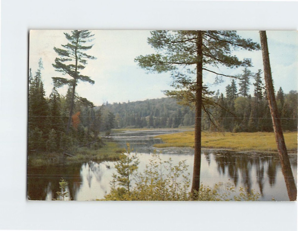 Postcard By the Roadside on Highway 60 Algonquin Park Ontario Canada