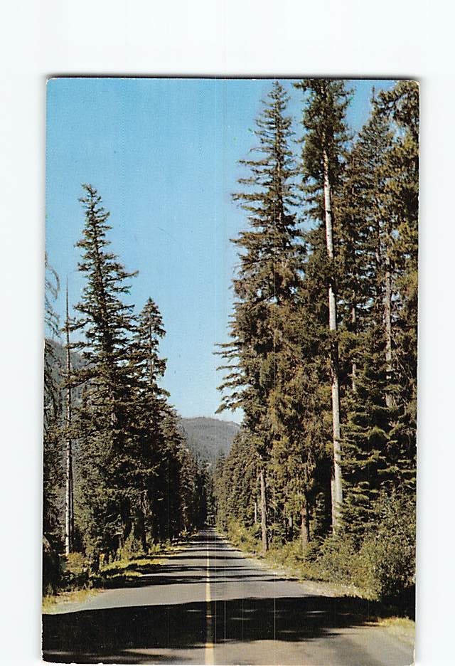 Postcard Naches Pass Highway Washington USA