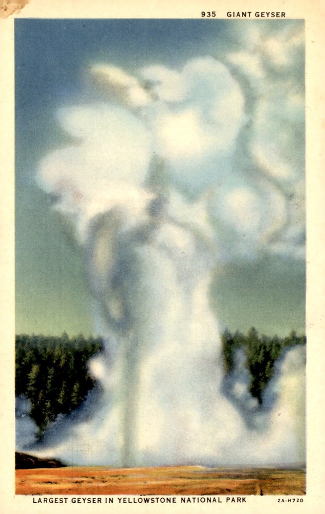 Giant Geyser, Yellowstone National Park Postcard