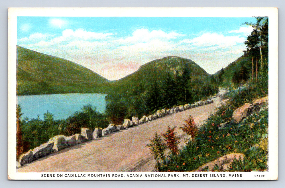 Vintage Postcard Mt Desert Island Maine Acadia National Park-image