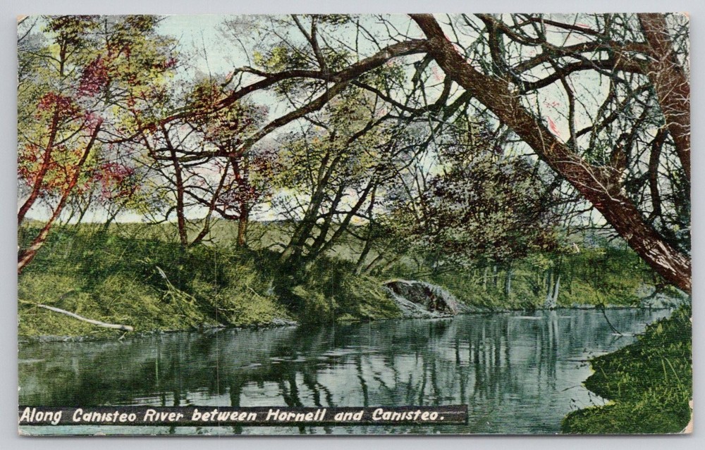 Canisteo River Hornell NY Vintage Postcard Baker Bros Elmira Divided Back