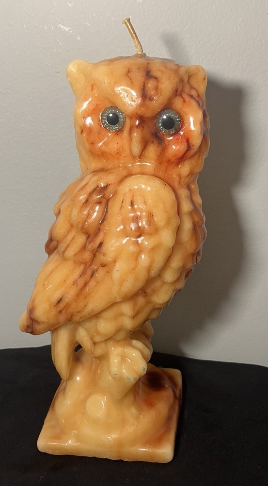 Wise Owl Candle