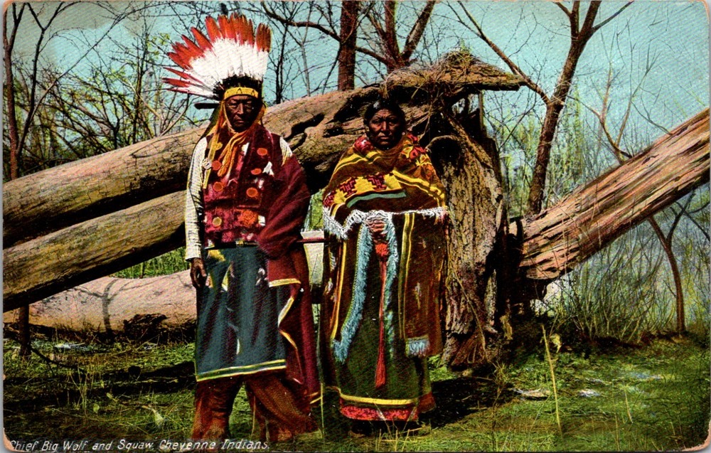 Chief Big Wolf and Squaw Cheyenne Indians Traditional Clothing  Postcard   24185