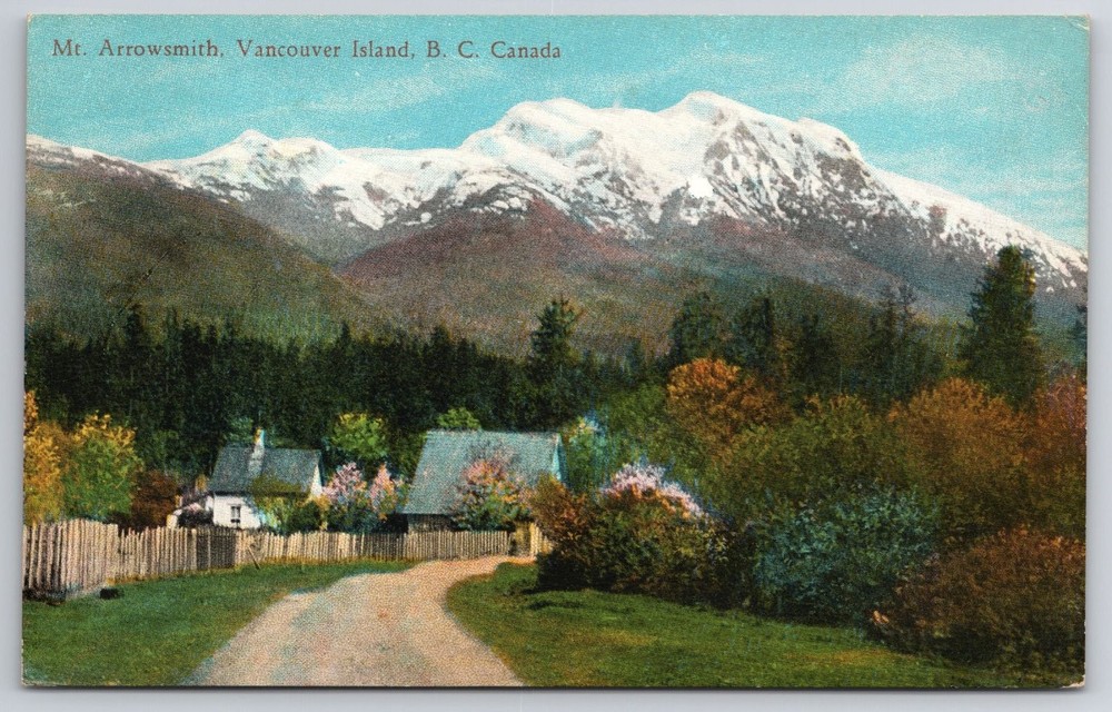 Vintage Mt. Arrowsmith Vancouver Island BC Canada Postcard Scenic Mountain View