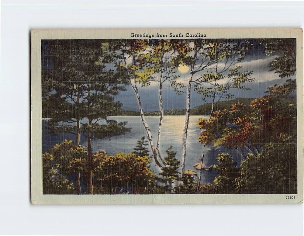 Postcard Greetings from South Carolina USA
