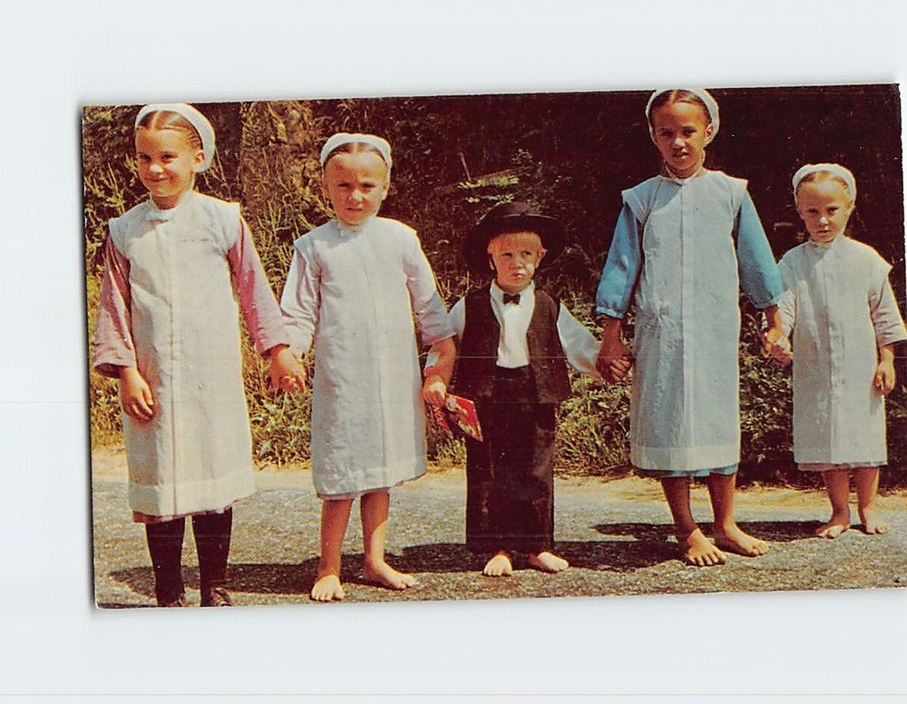Postcard Amish Children in Sunday Dress