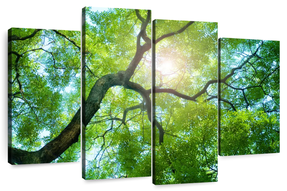 Tree Canopy Sunshine Wall Art