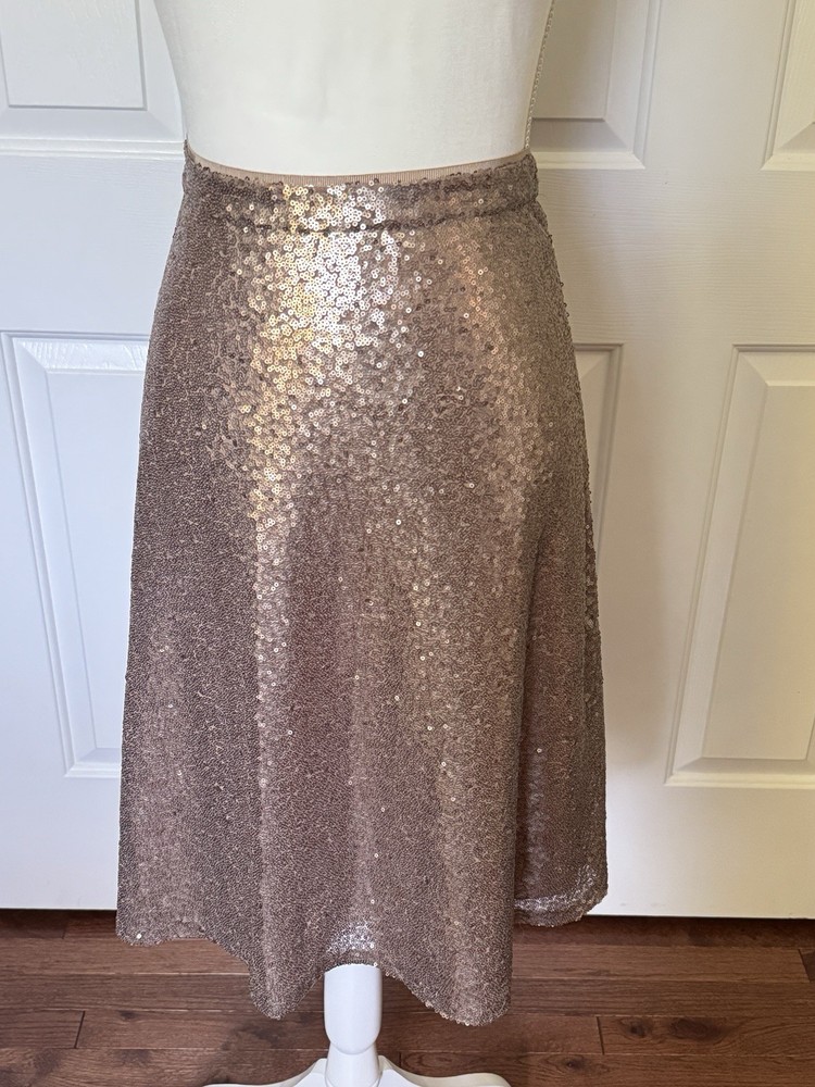 Ann Taylor Gold Sequin A-Line Knee Length Skirt Size 12