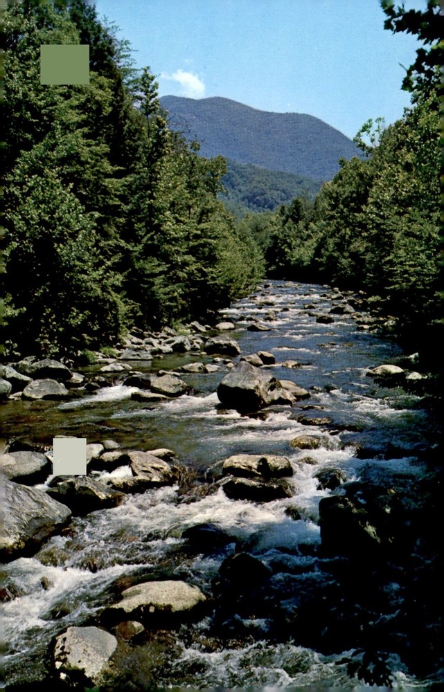 Little Pigeon River, Great Smoky Mountains National Park Postcard