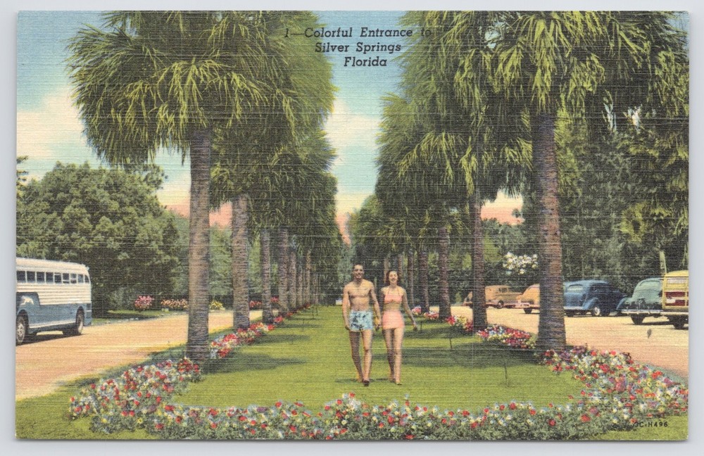 Linen~Colorful Entrance To Silver Springs Florida~Art Colortone~Vintage Postcard