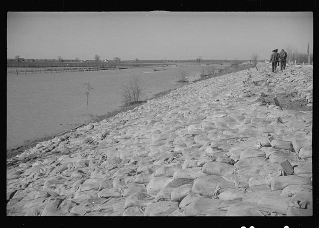 The Bessie Levee augmented,1937 flood,Near Tiptonville,Tennessee,TN,FSA