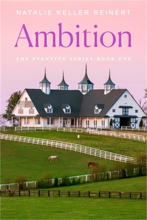 Ambition (Paperback or Softback)