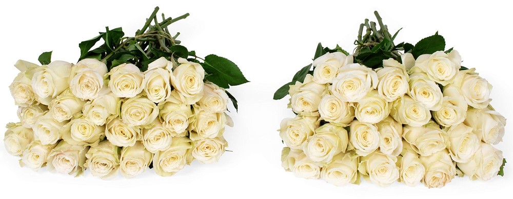 , 50 Stems of White Roses, Vase Not Included, Gift Fresh Flowers for Birthday...