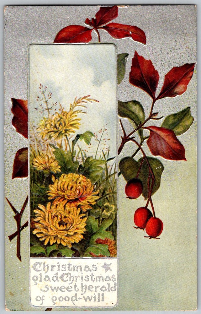 Antique Postcard Chrysanthemum Bouquet & Berries 1910s