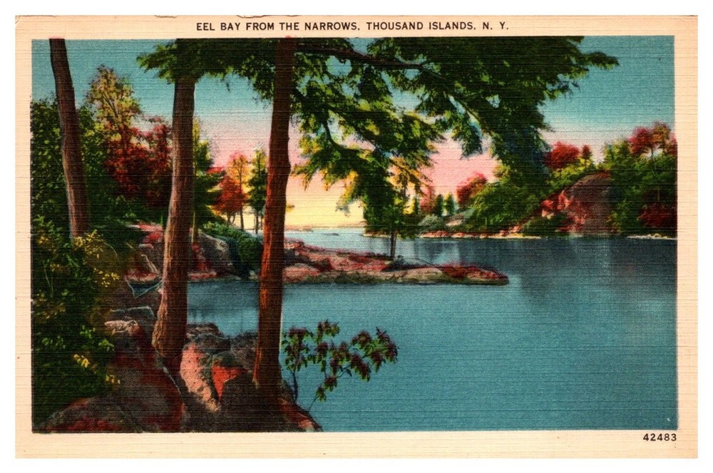 1940s View of Eel Bay from Narrows Thousand Islands New York Vintage Postcard