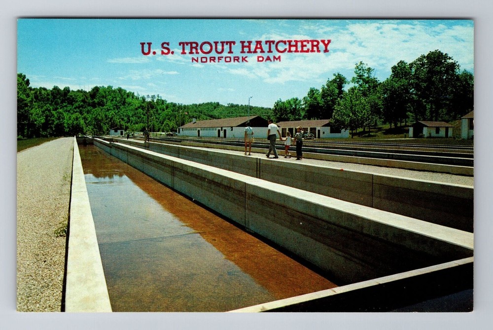 Mountain Home AR-Arkansas, U.S. Trout Hatchery Norfork Dam, Vintage Postcard