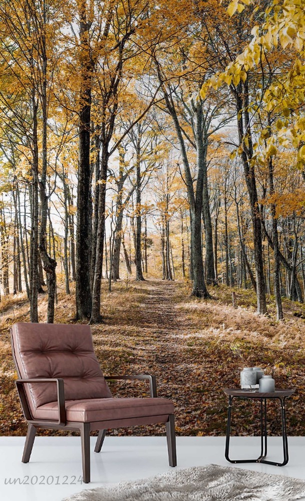 3D Woods Path Autumn Landscape Wall Murals Wallpaper Murals Wall Sticker