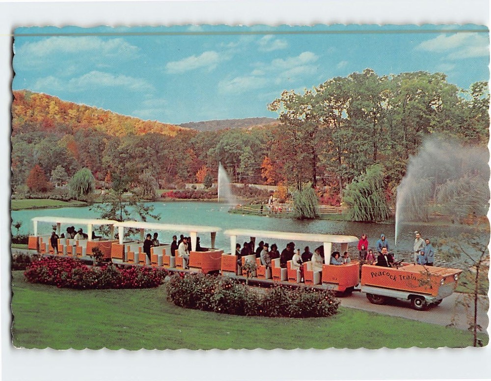 Postcard Peacock Train Sterling Forest Gardens near Tuxedo NY USA
