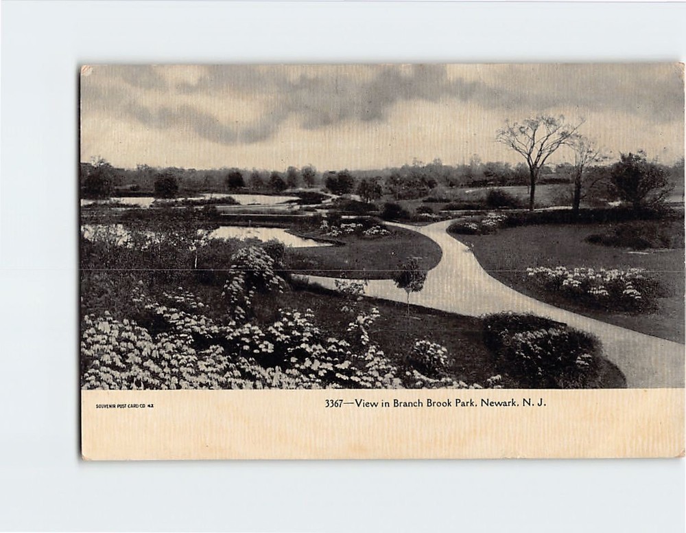 Postcard View in Branch Brook Park Newark New Jersey USA North America
