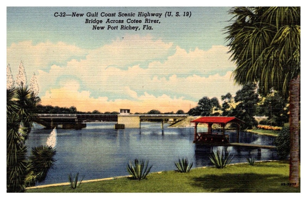1940s New Gulf Coast Scenic Highway New Port Richey Florida Vintage Postcard