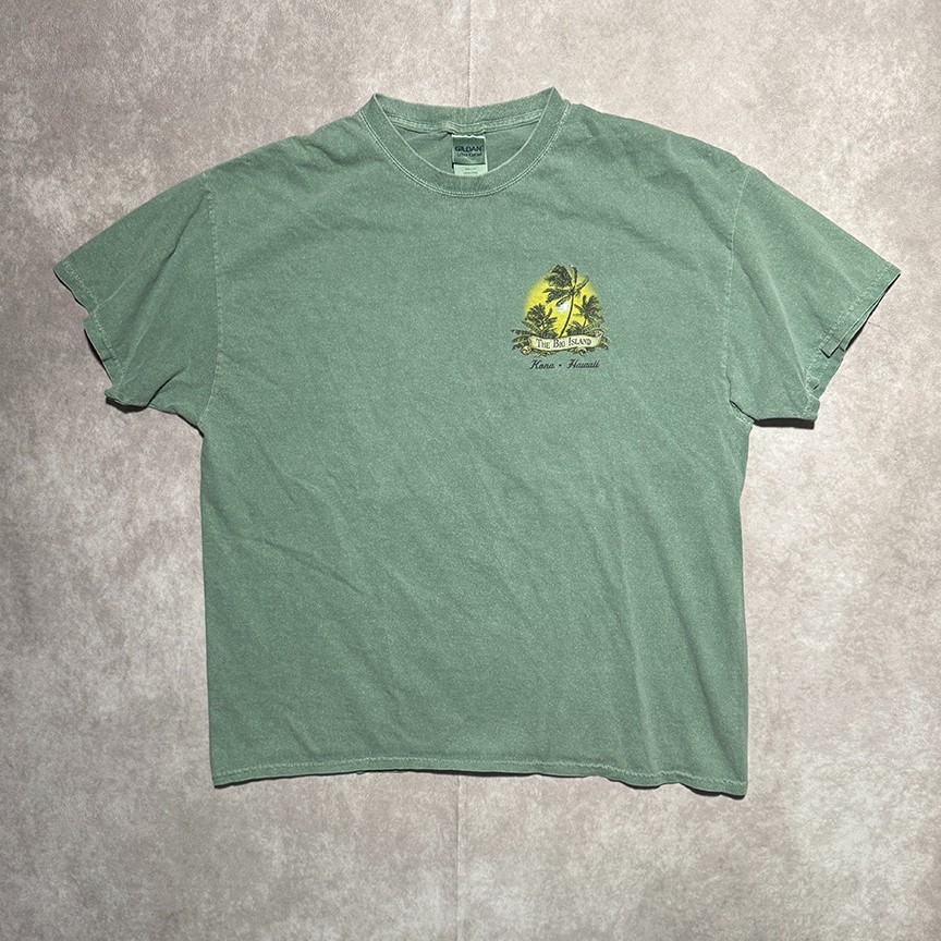 Gildan T-shirt Mens XL Green 