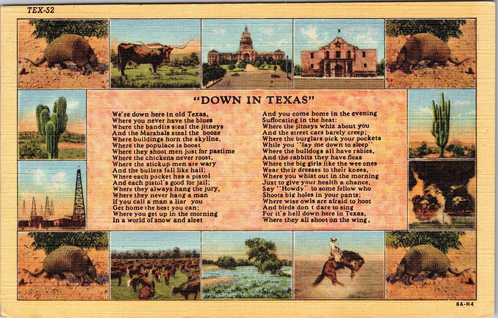 TX-Texas, Down In Texas, Poem Song, Animals, Vintage Postcard