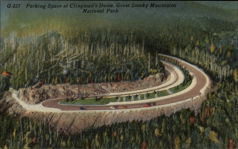 Great Smoky Mountains National Park Tennessee ~ Clingman's Dome ~ postcard