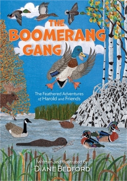 The Boomerang Gang: The Feathered Adventures of Harold and Friends (Paperback or
