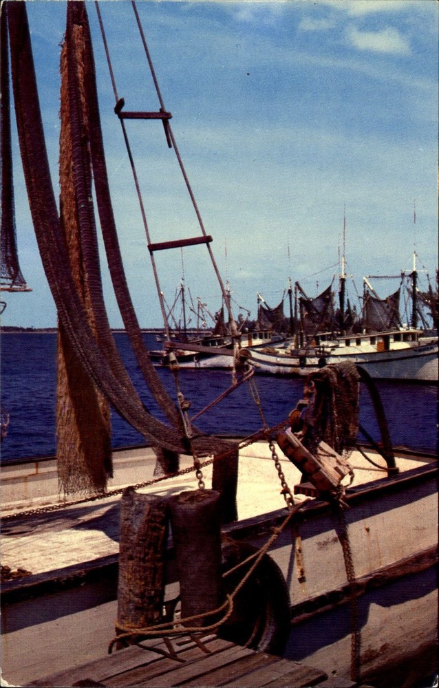 Shrimp Boats ~ Fort Myers Florida FL ~ 1950s postcard unused