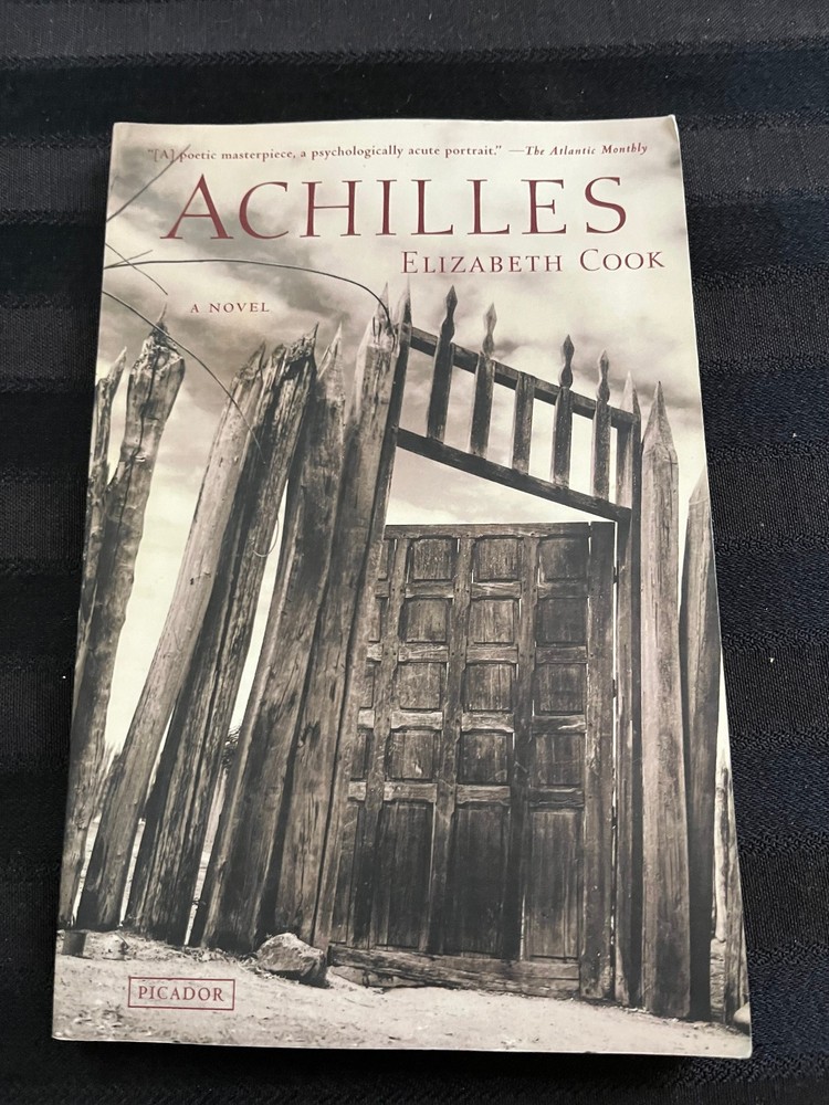 Achilles by Elizabeth Cook, NEW Paperback-image