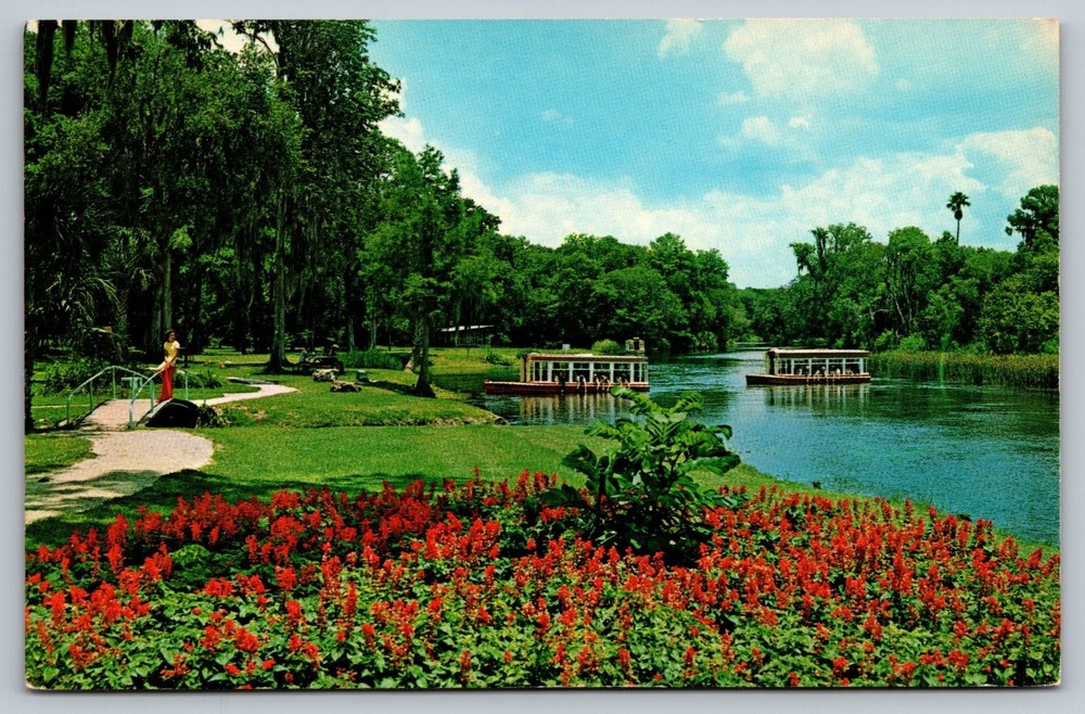 Vintage Florida Silver Springs Glass Bottom Boats Postcard