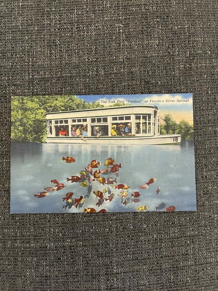Linen Postcard Ocala, FL~ Fish Play Football at Silver Springs-Glass Bottom Boat