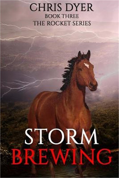 Storm Brewing: Book Three The Rocket Series (Paperback or Softback)