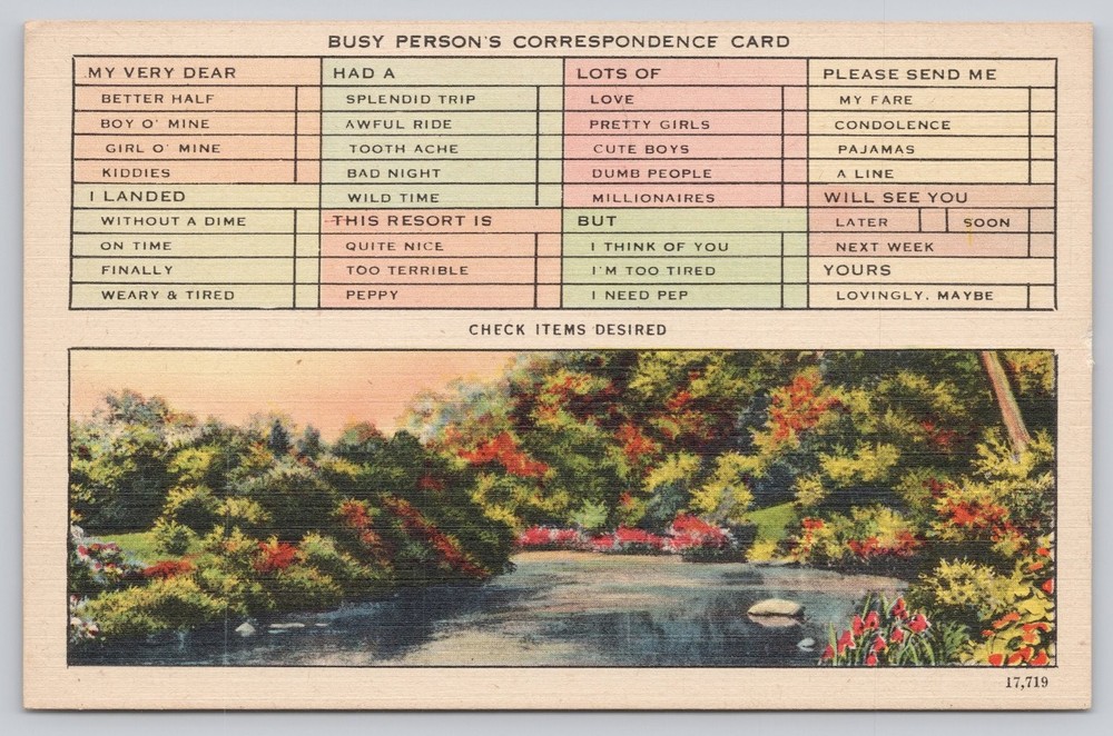 Asheville NC Busy Person's Correspondence Card Novelty Linen Postcard